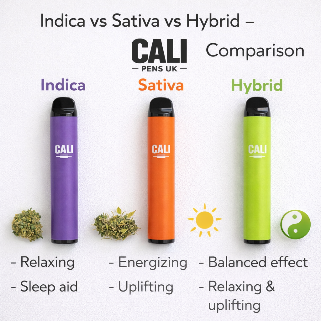 Indica vs Sativa vs Hybrid