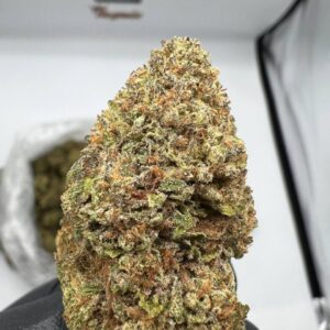 Banana Zstar