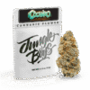 Jungle Boys Packs