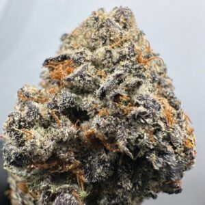 Lil Uzi Purp