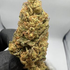 Royal Highness
