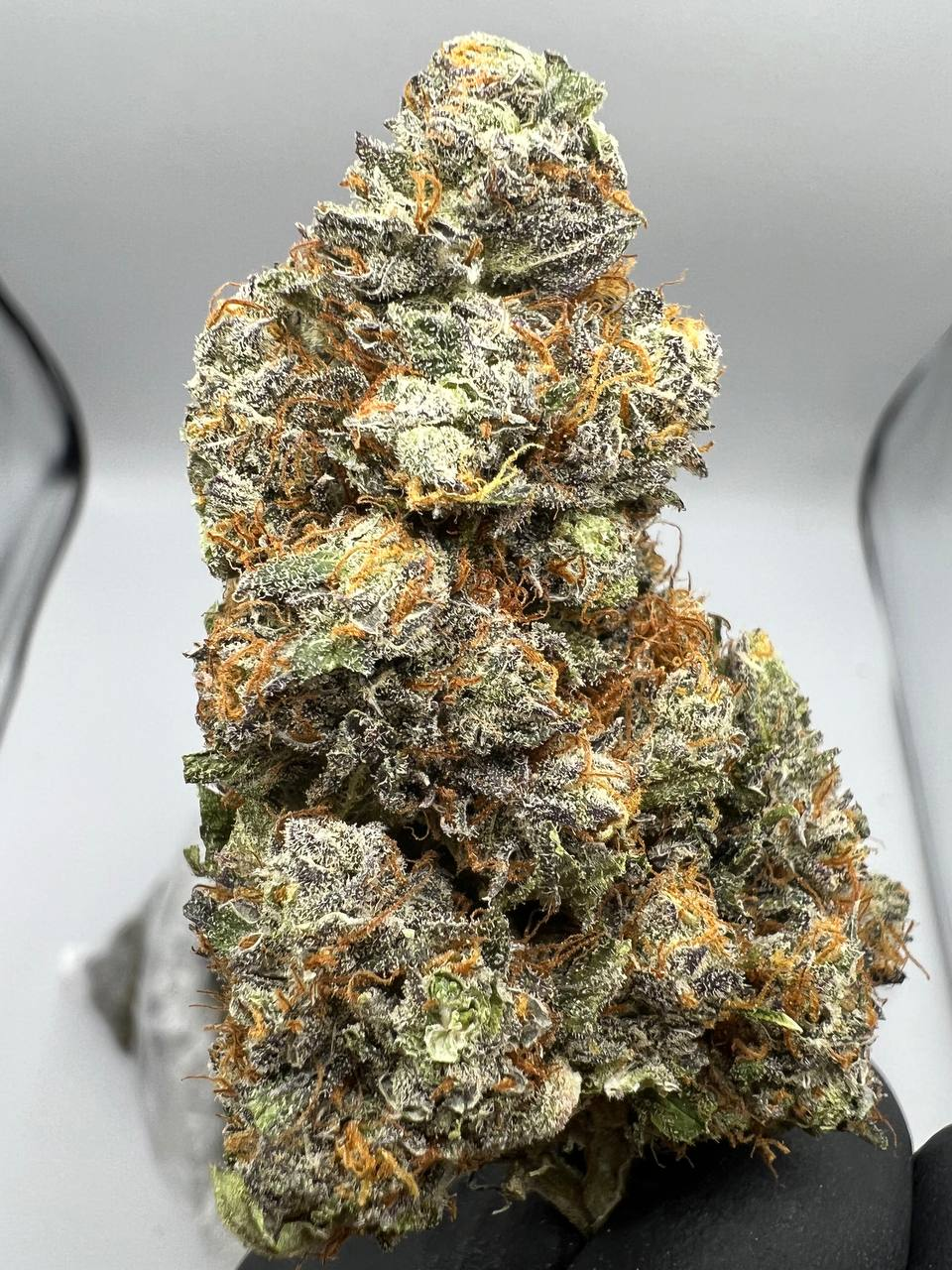 Grape Ape - Image 2