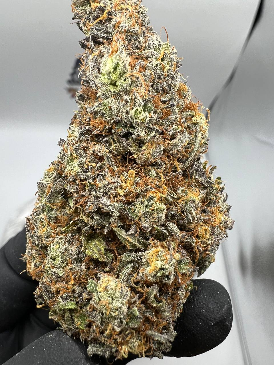 Grape Ape - Image 3