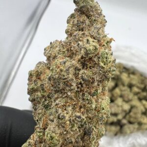 Gelato Cake