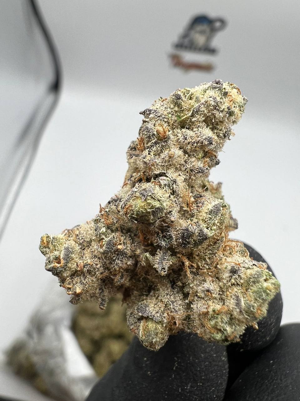 Gelato Cake - Image 3