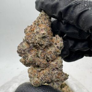 Blue Dream