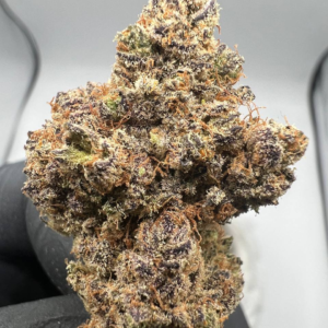 Golden Cookies