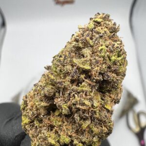 Blueberry