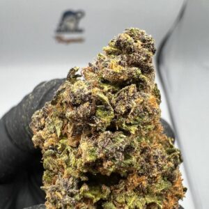DOUGHBOYZ Purple Train Wreck