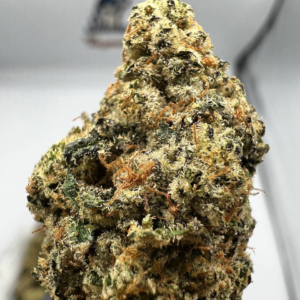 Buy Critical Mass Strain