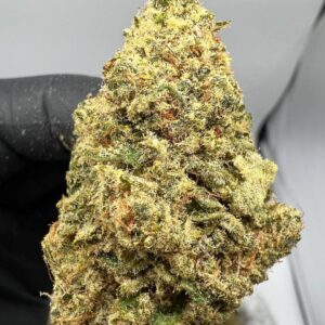 Buy Lavender Skunk