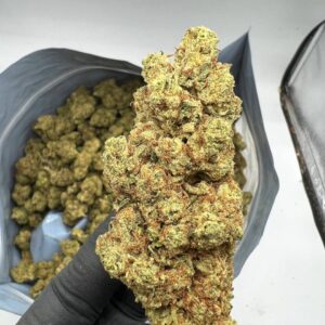 Buy Marshmallow Strain