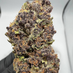 Buy Tahquitz strain