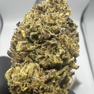 Jungle Cake
